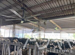 ventilateur hvls ferme