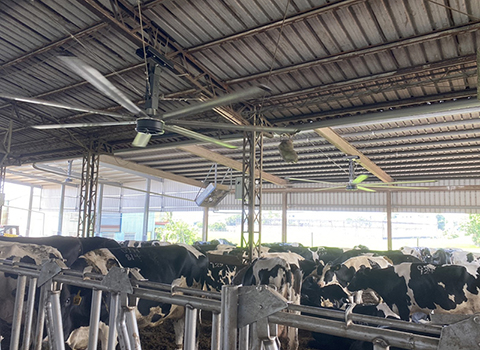 ventilateur hvls ferme